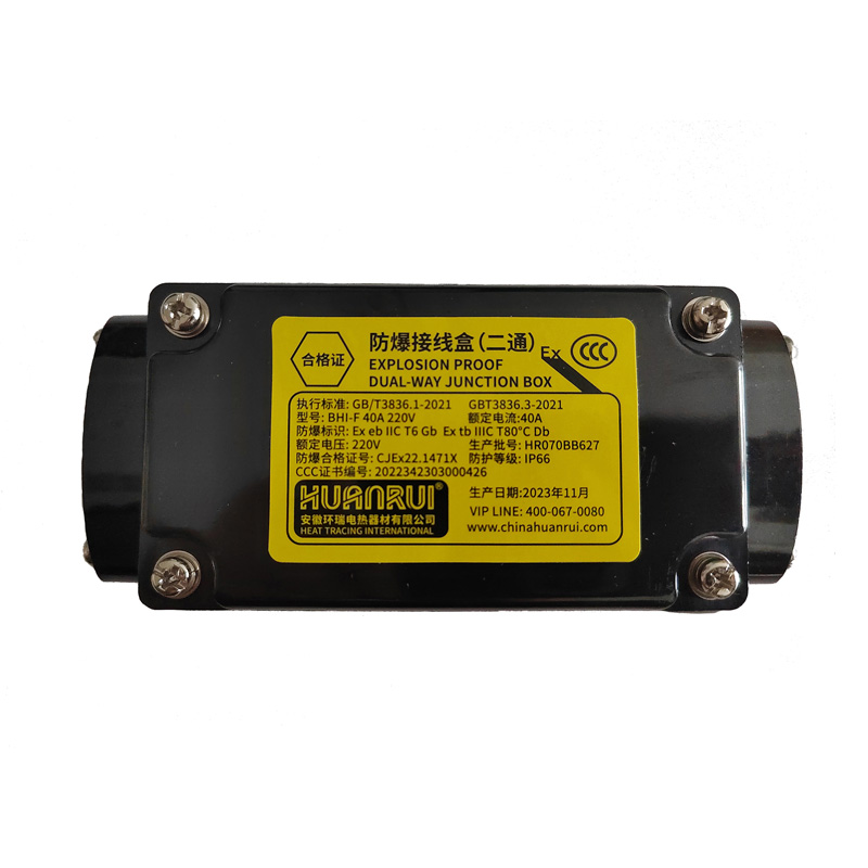 Puszka przyłączeniowa przeciwwybuchowa dwudrożna do ogrzewania elektrycznego BHI