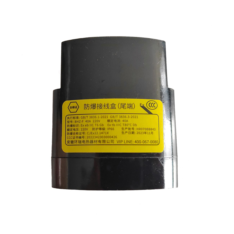 Skrzynka przyłączeniowa BHZ z przeciwwybuchowym zakończeniem do ogrzewania elektrycznego